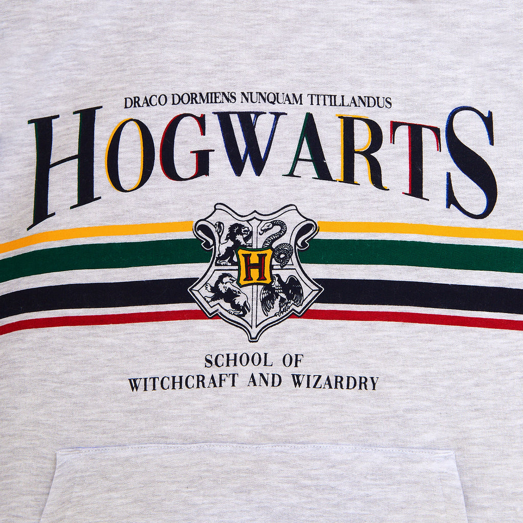 Produktbild Harry Potter - Hogwarts Hoodie grau