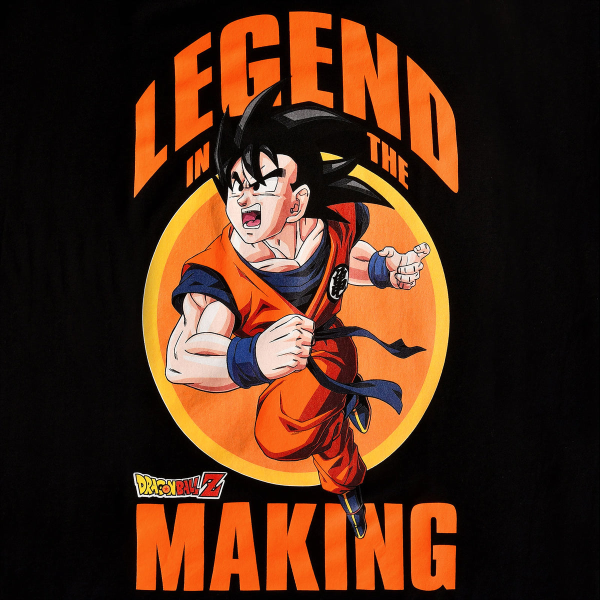 Produktbild Dragon Ball Z - Legend in the Making T-Shirt schwarz