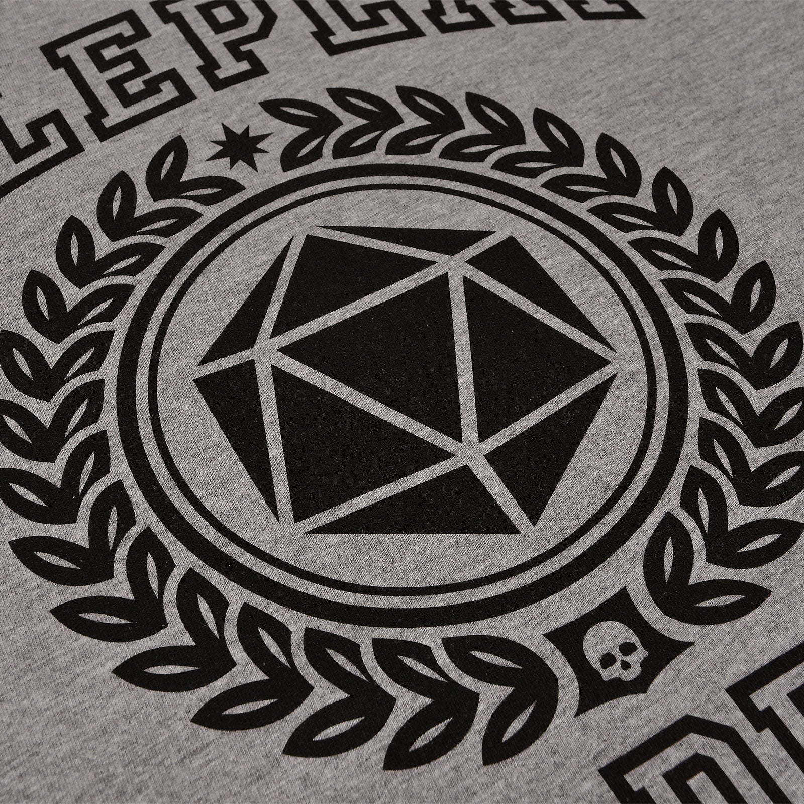 Produktbild Roleplay Academy T-Shirt grau