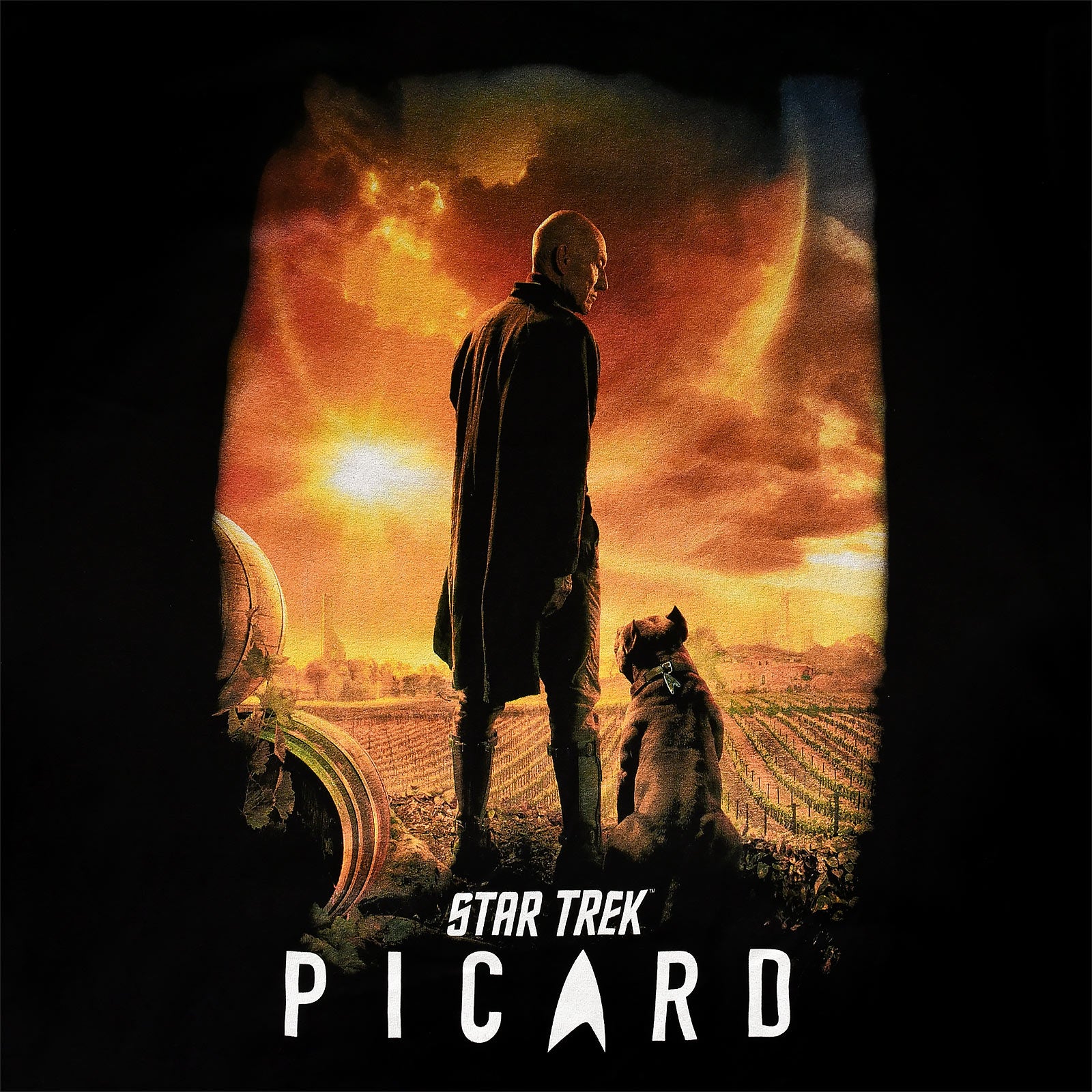Produktbild Star Trek - Picard Poster T-Shirt schwarz