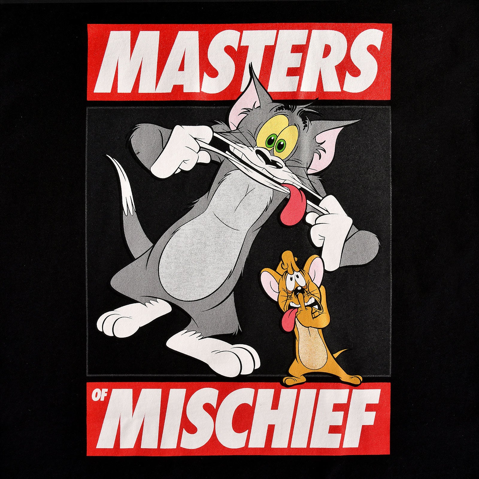 Produktbild Tom und Jerry - Masters of Mischief schwarz