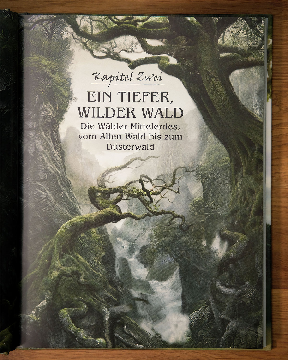 Produktbild Reise durch Mittelerde - Illustrationen von Beutelsend bis Mordor