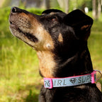 Produktbild Supergirl Klick-Halsband für Hunde rosa-blau