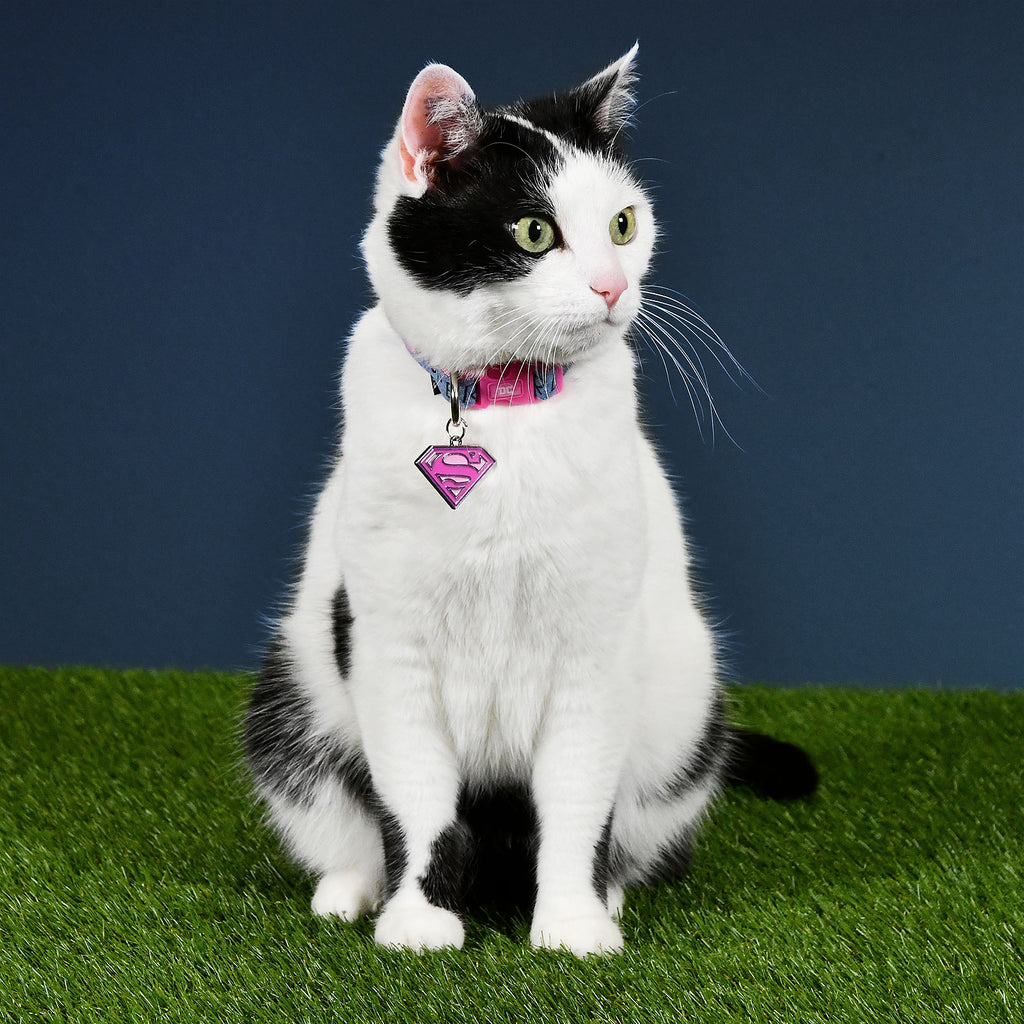 Produktbild Supergirl Klick-Halsband für Hunde rosa-blau