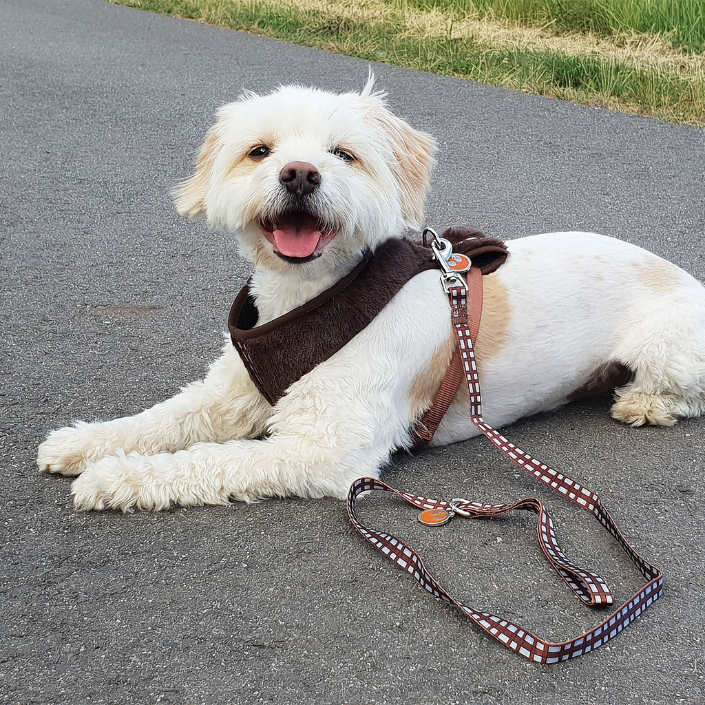 Produktbild Star Wars - Chewbacca Hundegeschirr braun