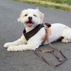 Produktbild Star Wars - Chewbacca Hundegeschirr braun