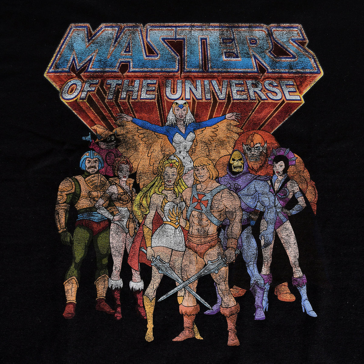 Produktbild Masters of the Universe - Characters Distressed T-Shirt schwarz