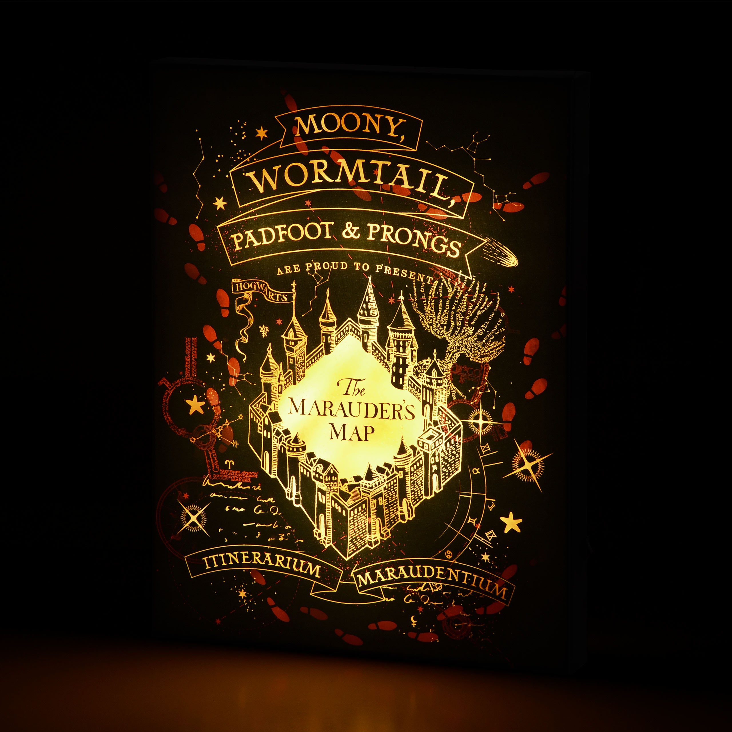 Product image Harry Potter - Marauder's Map Wall Picture with Light
