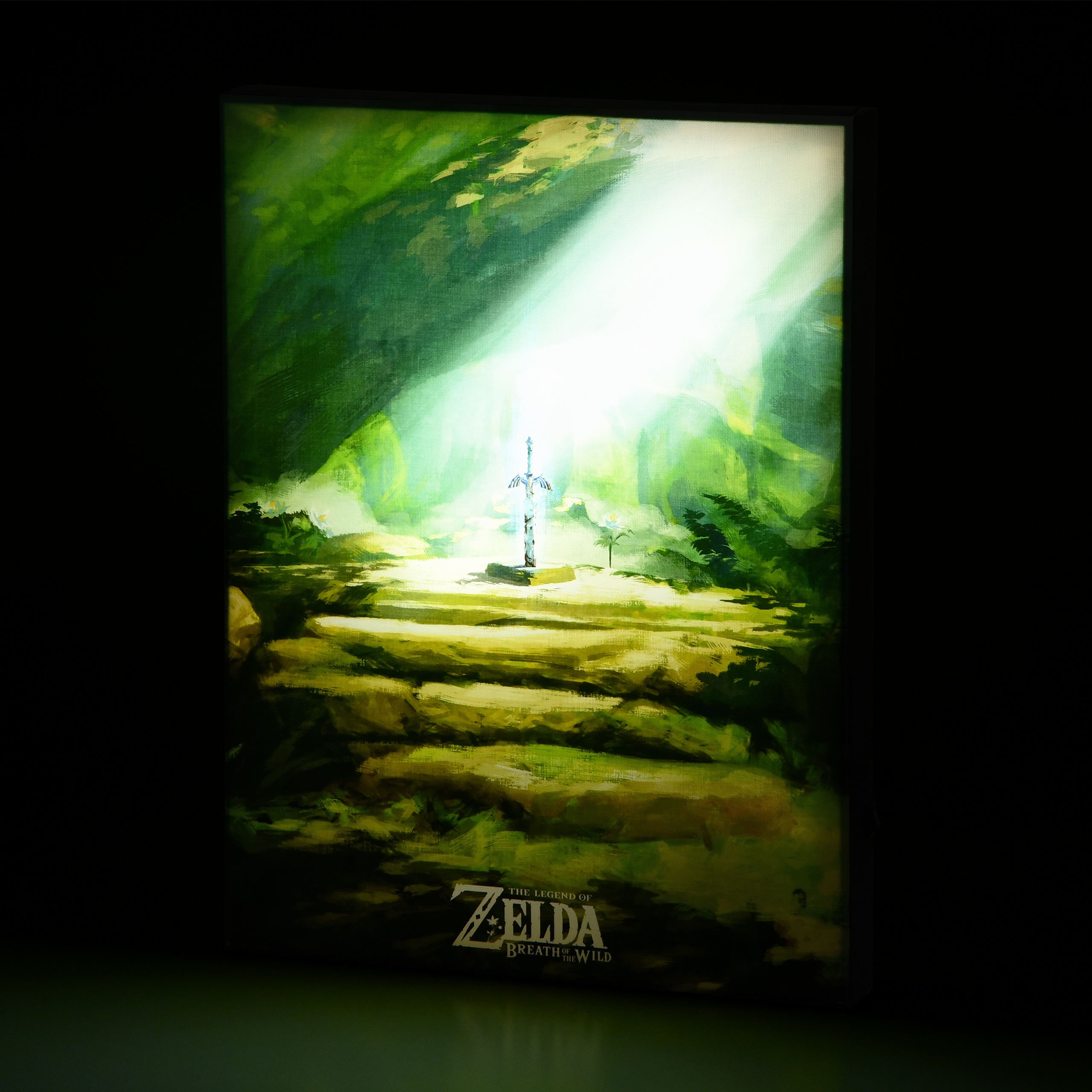 Produktbild Zelda - Masterschwert Wandbild mit Licht