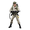 Produktbild Ghostbusters - Dr. Ray Stantz Actionfigur 15 cm
