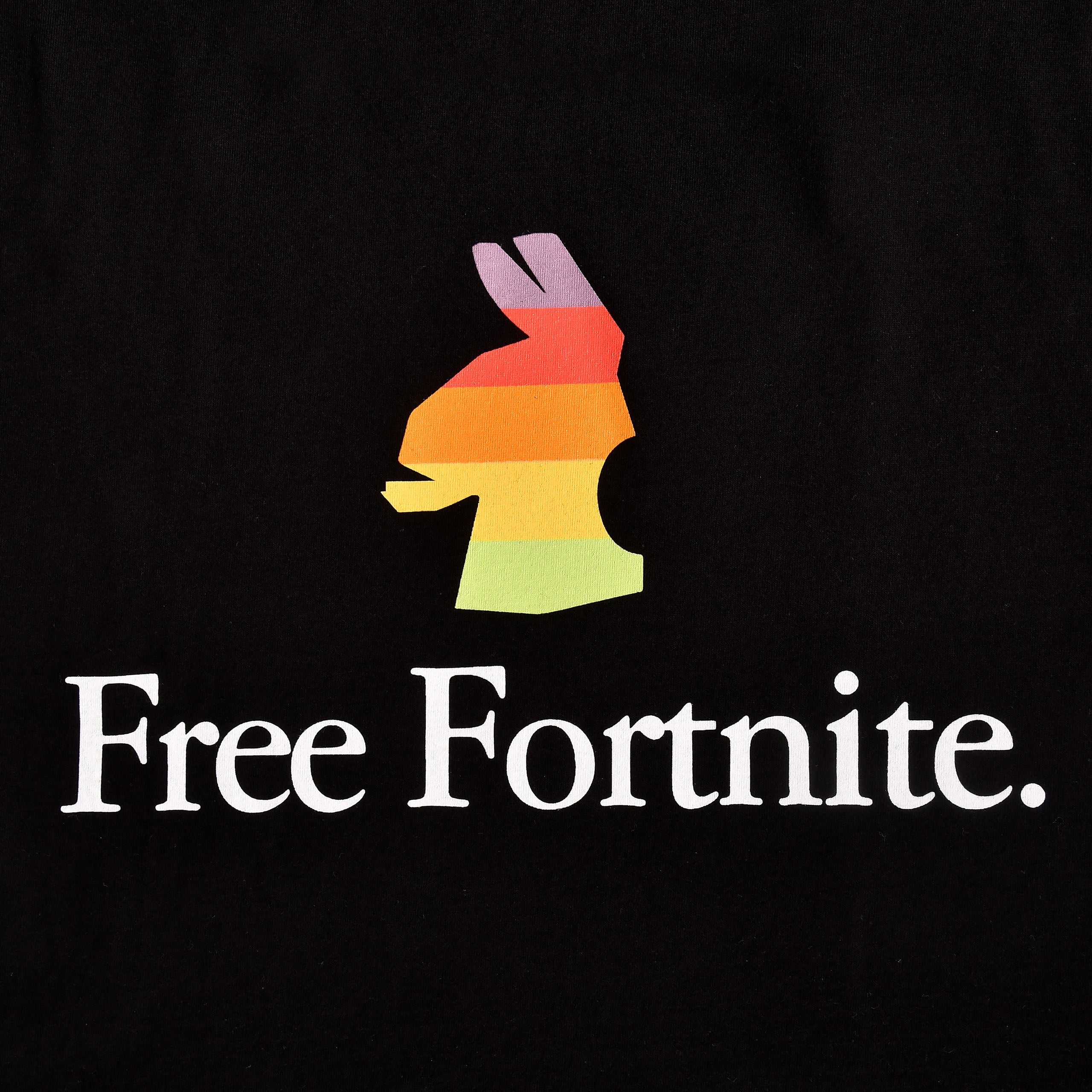 Produktbild Fortnite - Free Fortnite T-Shirt schwarz