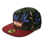Produktbild Harry Potter - Hogwarts Wappentiere Snapback Cap