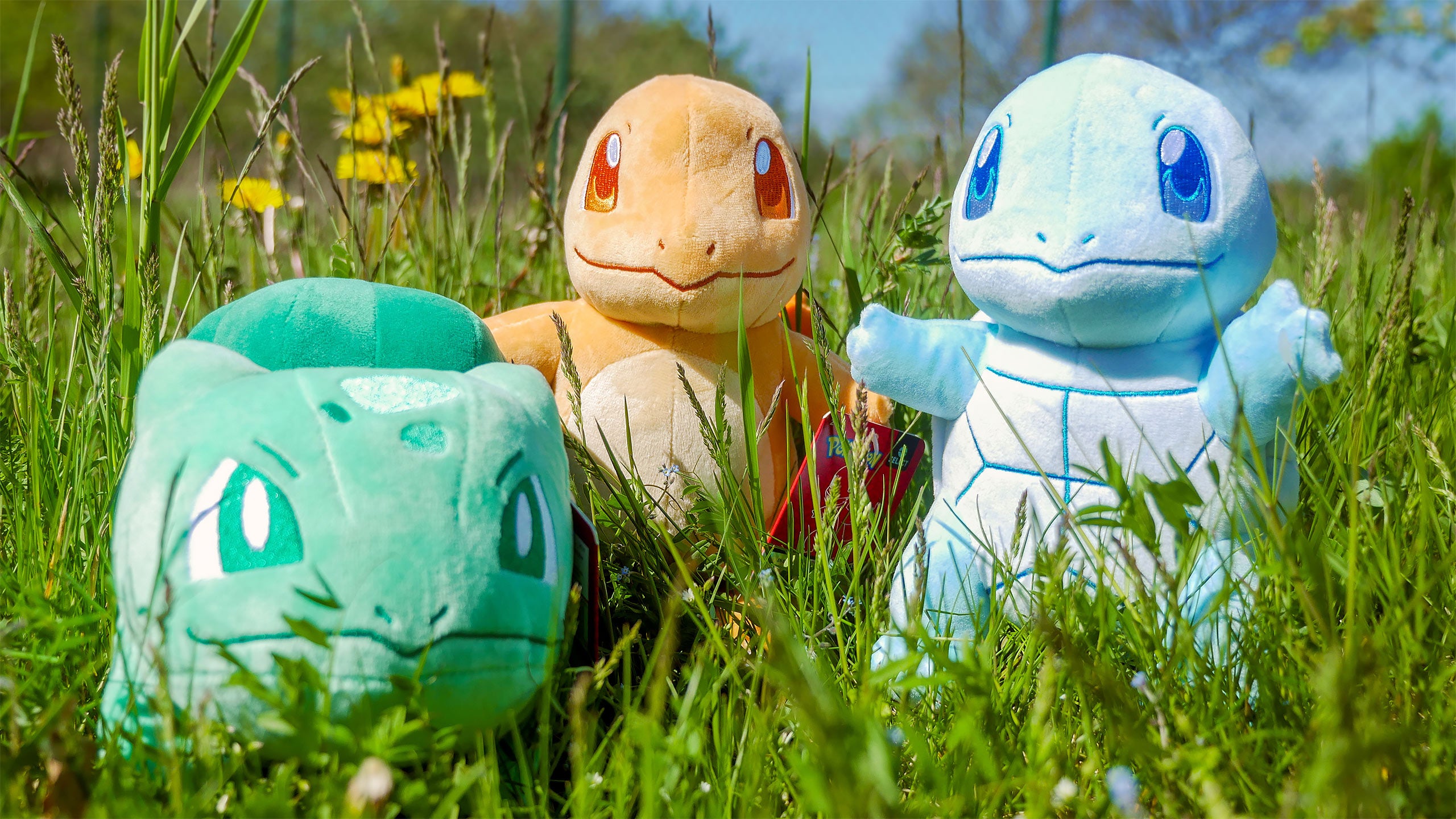 Produktbild Pokemon - Schiggy Monochrom Plüsch Figur 21 cm