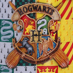 Produktbild Harry Potter - Goldener Schnatz Krug deluxe