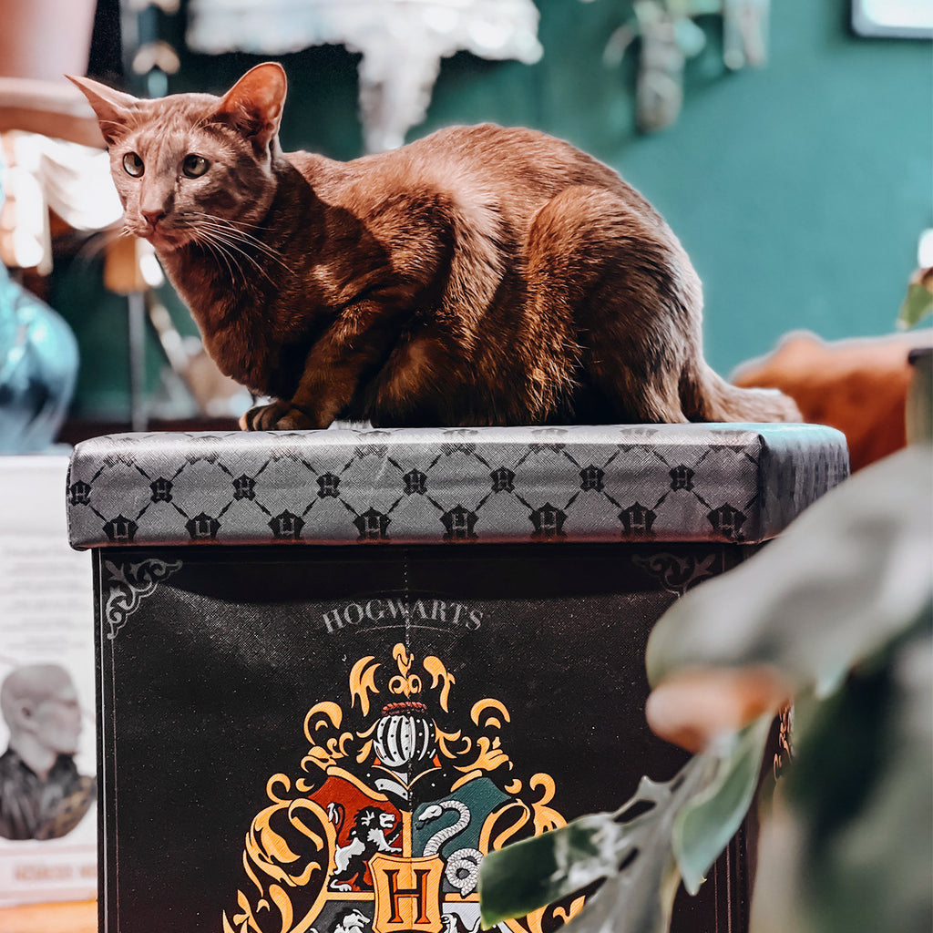 Produktbild Harry Potter - Hogwarts Hocker mit Stauraum