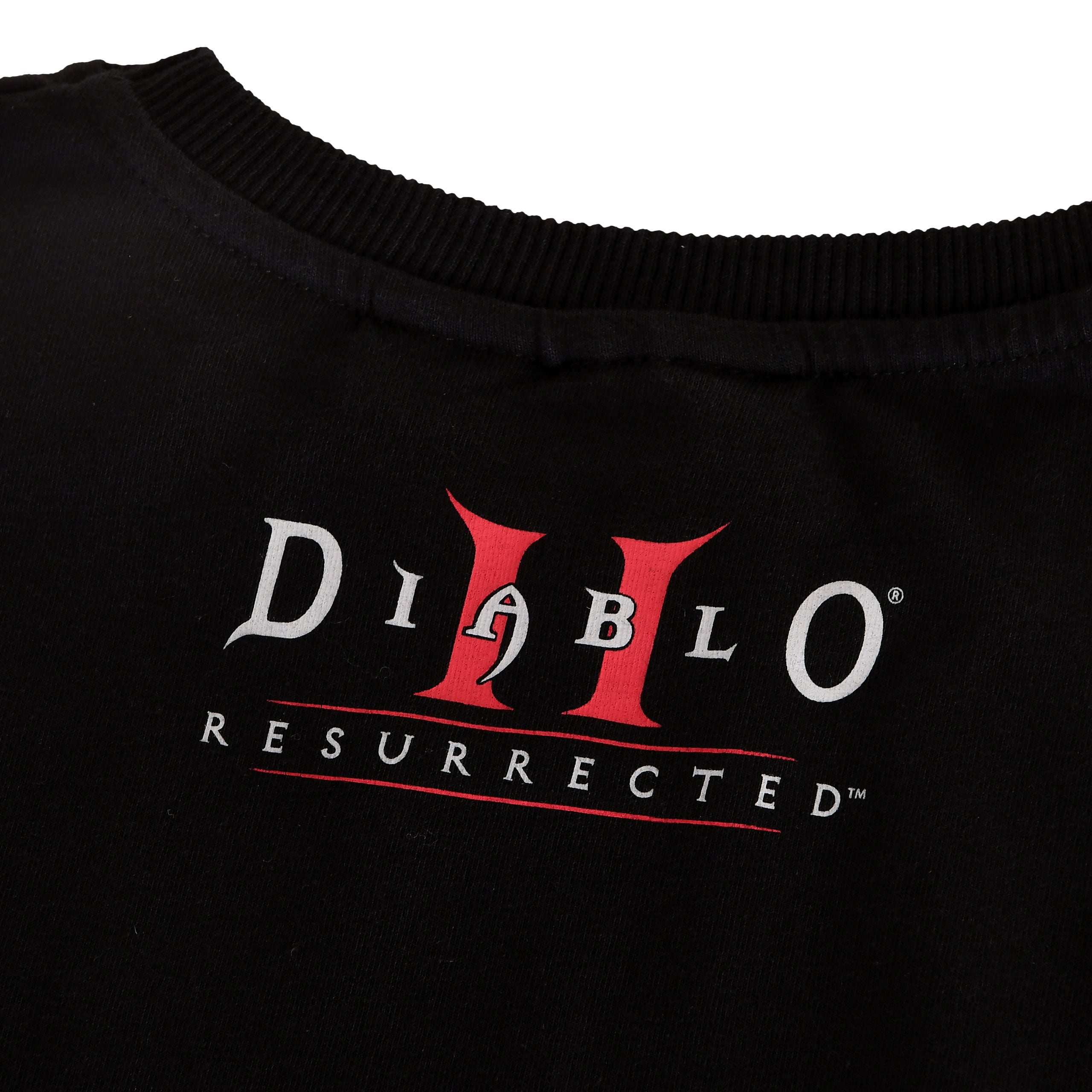 Produktbild Diablo - Skull T-Shirt schwarz