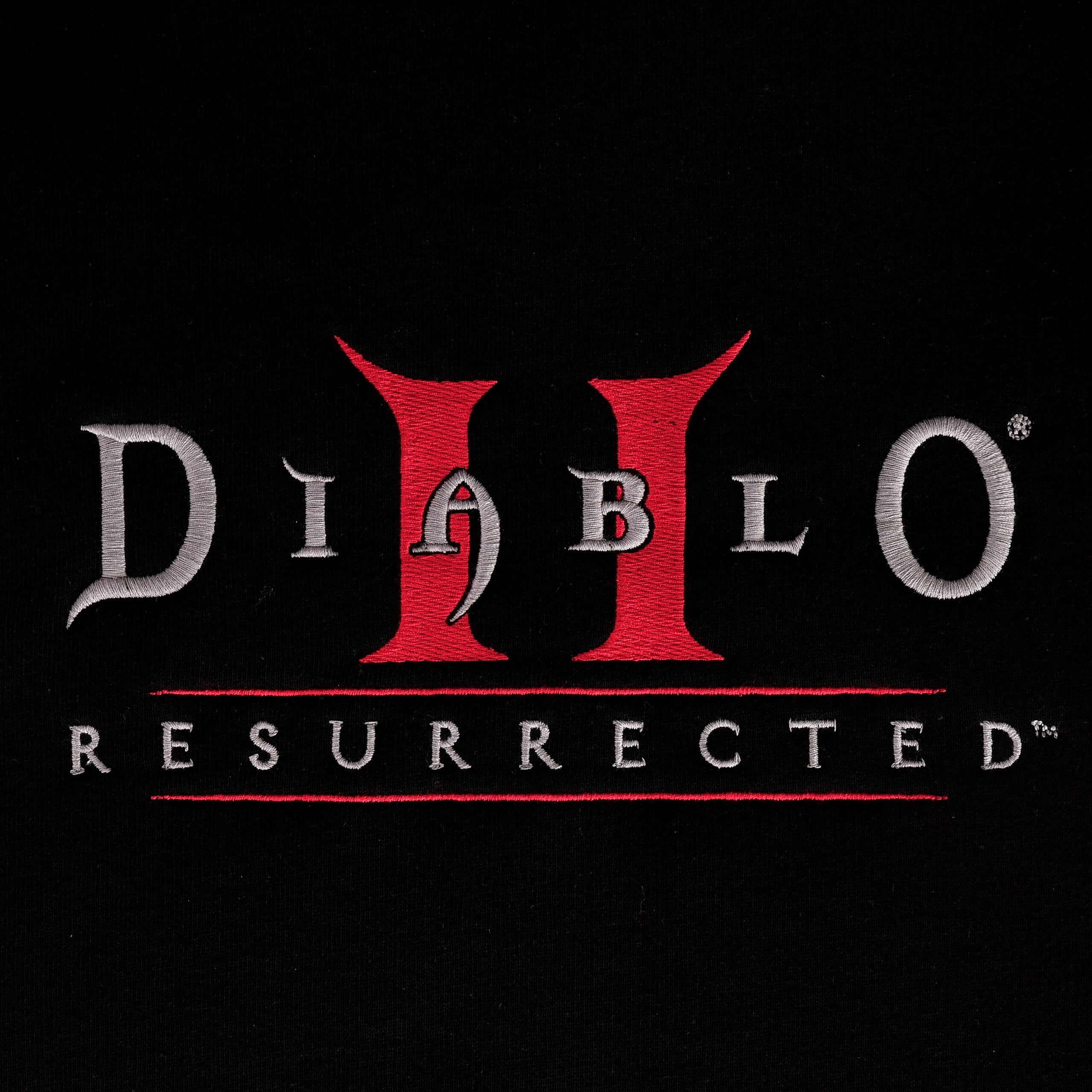 Produktbild Diablo - Logo Hoodie schwarz