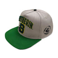 Produktbild Harry Potter - Slytherin Frottee Logo Snapback Cap