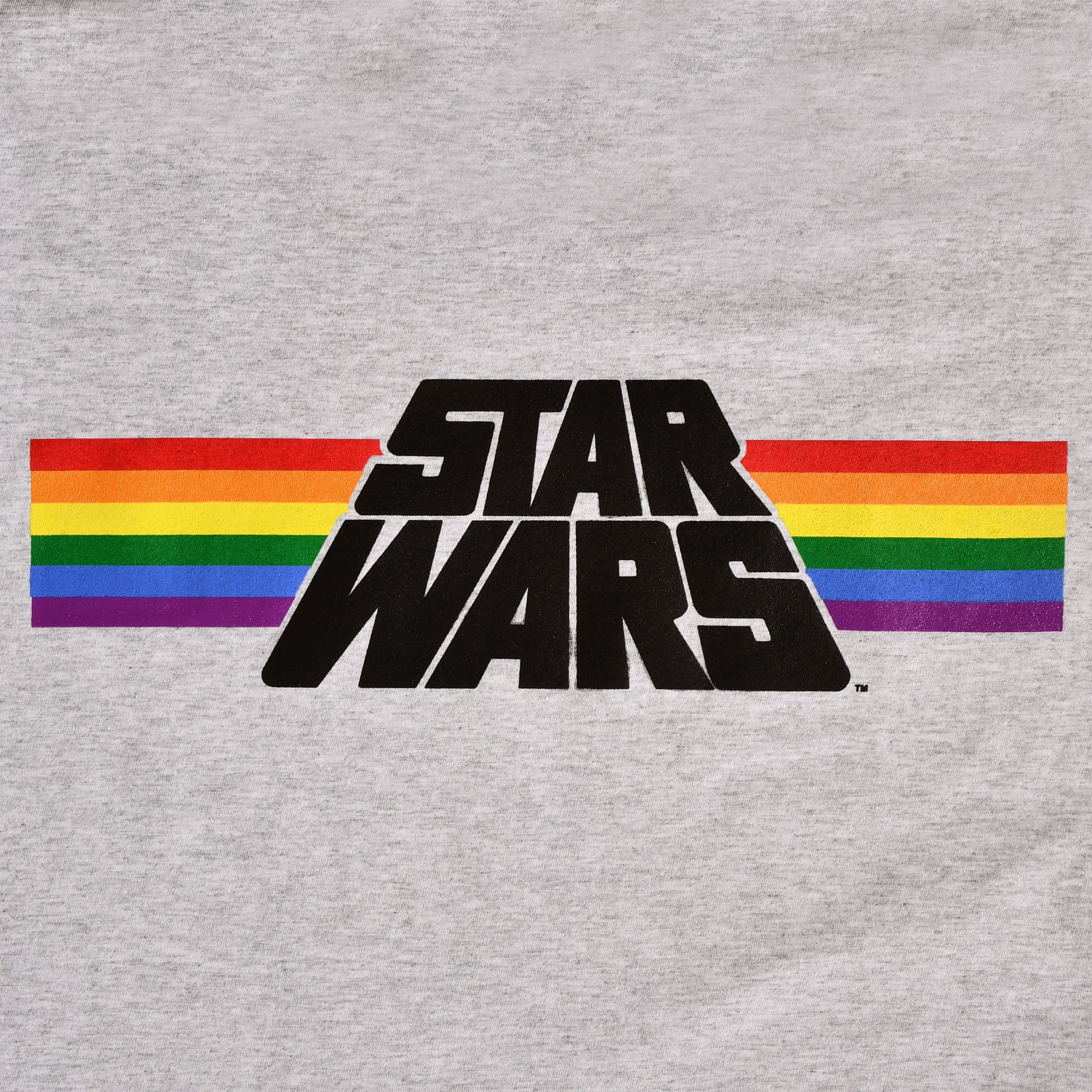 Produktbild Star Wars - Classic Rainbow Logo Pride T-Shirt grau