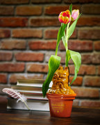 Produktbild Alraune Vase - Harry Potter