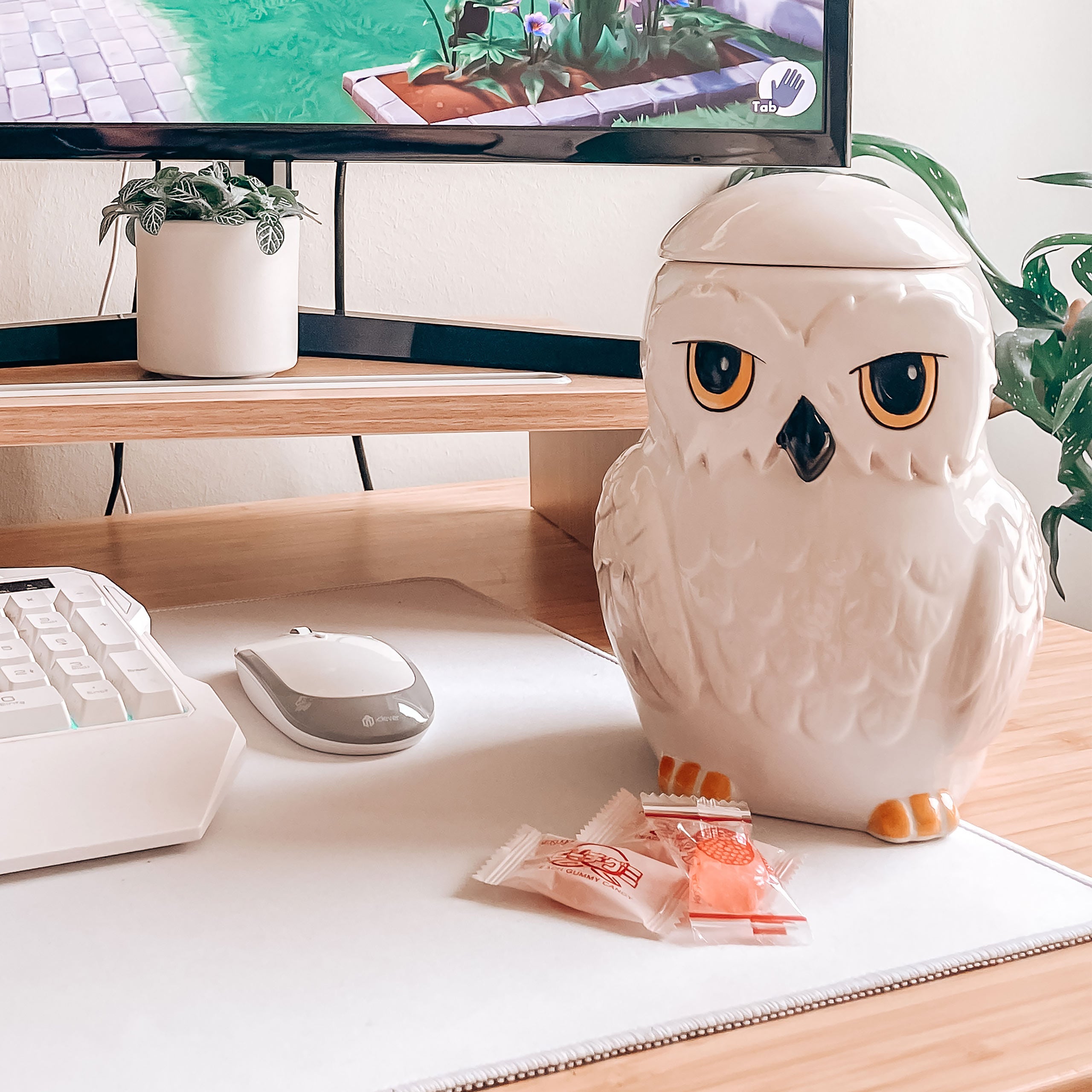 Produktbild Hedwig Keksdose - Harry Potter
