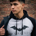 Produktbild The Batman - Logo Baseball Hoodie grau-schwarz