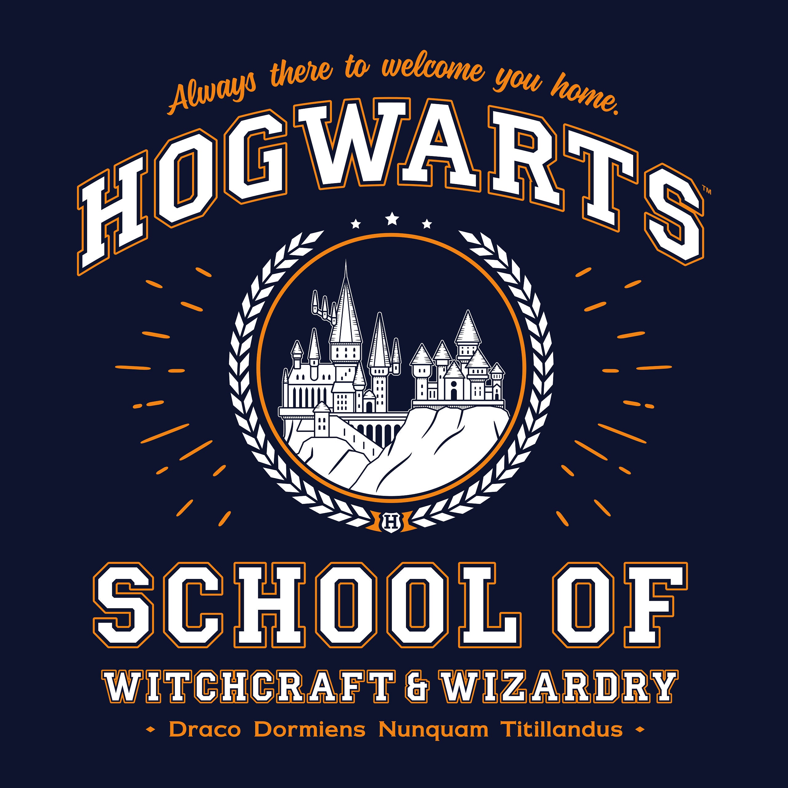 Produktbild Hogwarts School Hoodie blau - Harry Potter