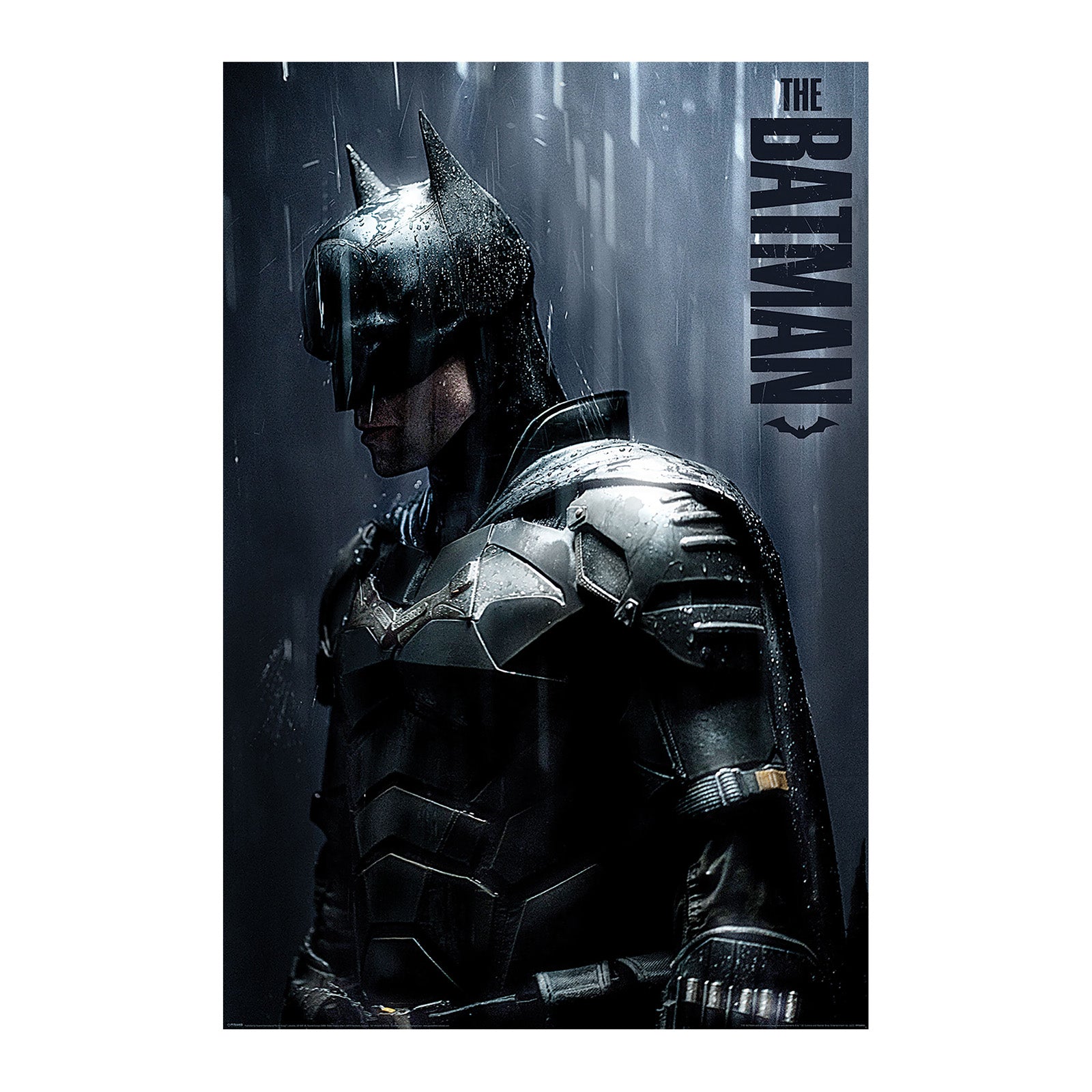Produktbild The Batman - Downpour Maxi Poster