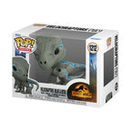 Produktbild Jurassic World - Velociraptors Blue and Beta Funko Pop Figur