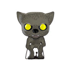 Produktbild Harry Potter - Remus Lupin Funko Pop Pin 9 cm