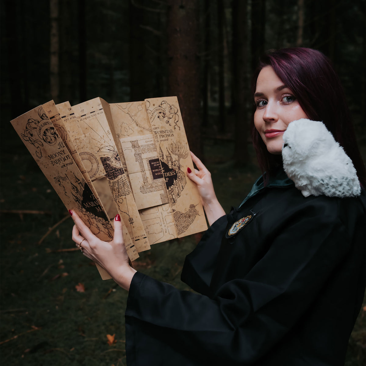 Produktbild Karte des Rumtreibers - Harry Potter