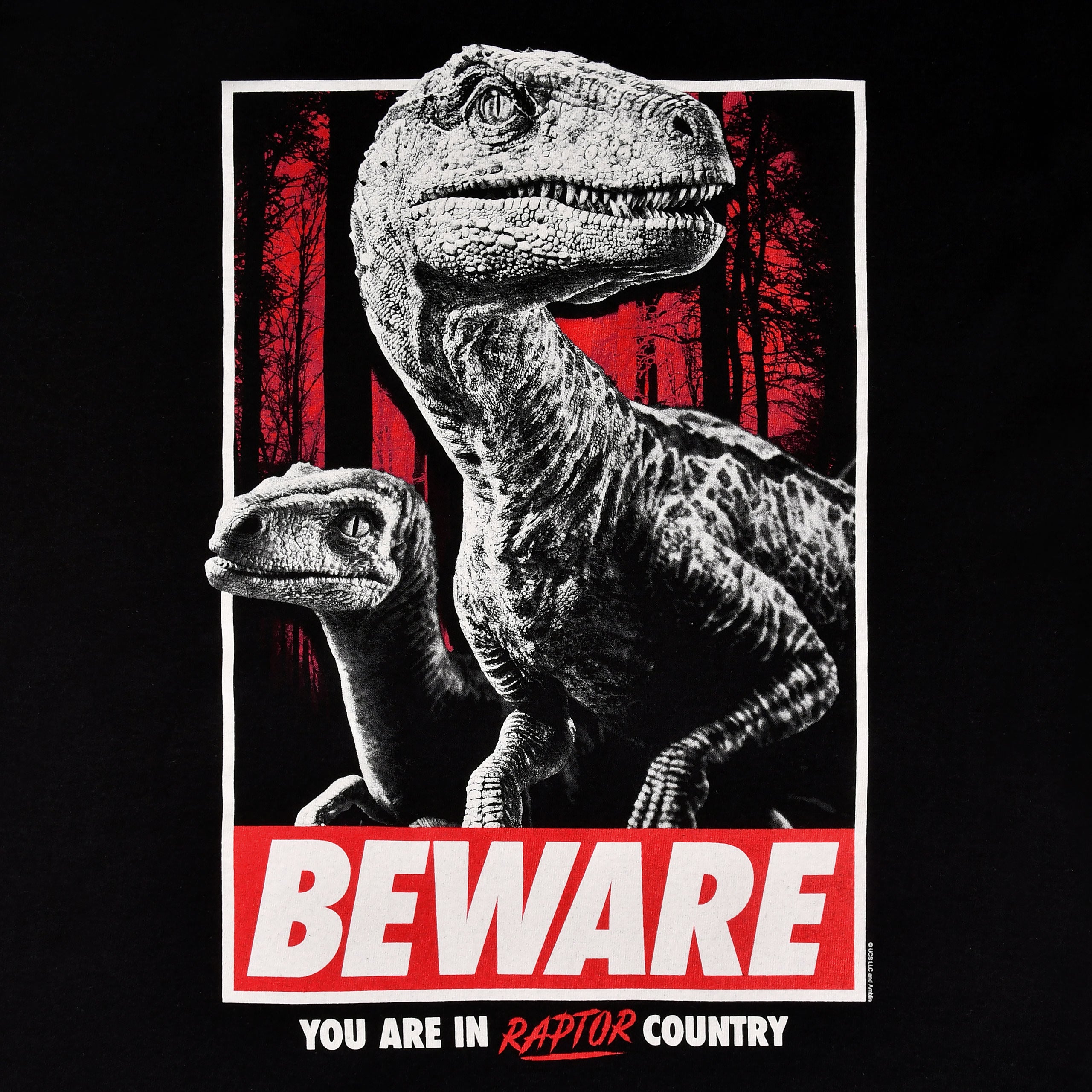 Produktbild Jurassic Park - Beware Raptor Country T-Shirt schwarz
