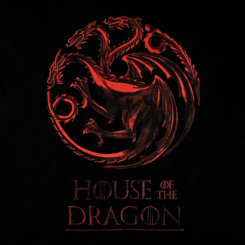 Produktbild House of the Dragon - Logo T-Shirt schwarz