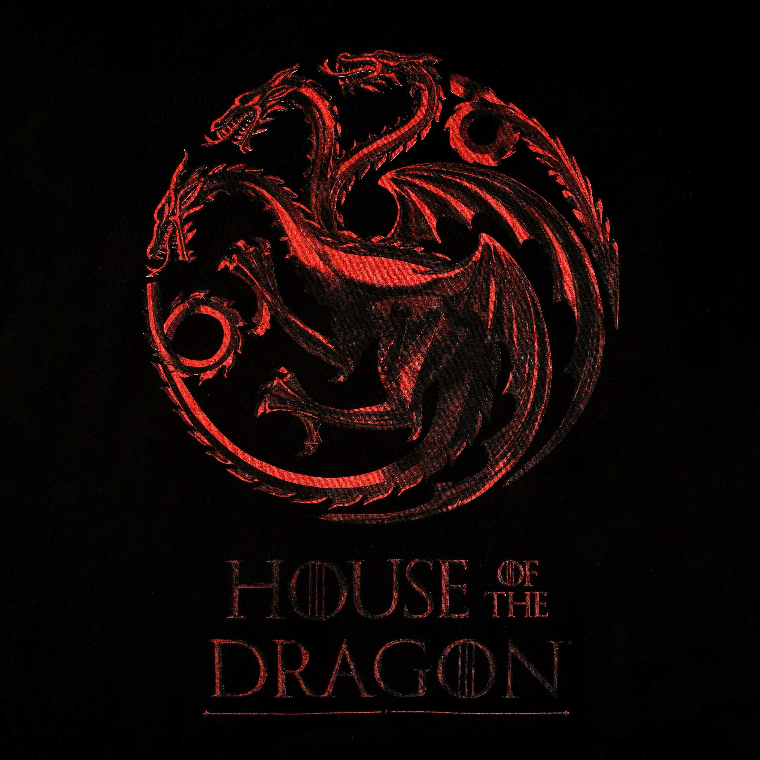 Produktbild House of the Dragon - Logo T-Shirt schwarz