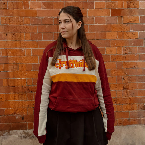 Produktbild Harry Potter - Team Gryffindor Block Hoodie
