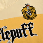 Produktbild Harry Potter - Team Hufflepuff Block Hoodie