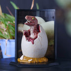 Produktbild Jurassic Park - Baby Velociraptor Egg Diorama Figur