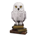 Produktbild Hedwig 4D Build Modell Bausatz - Harry Potter