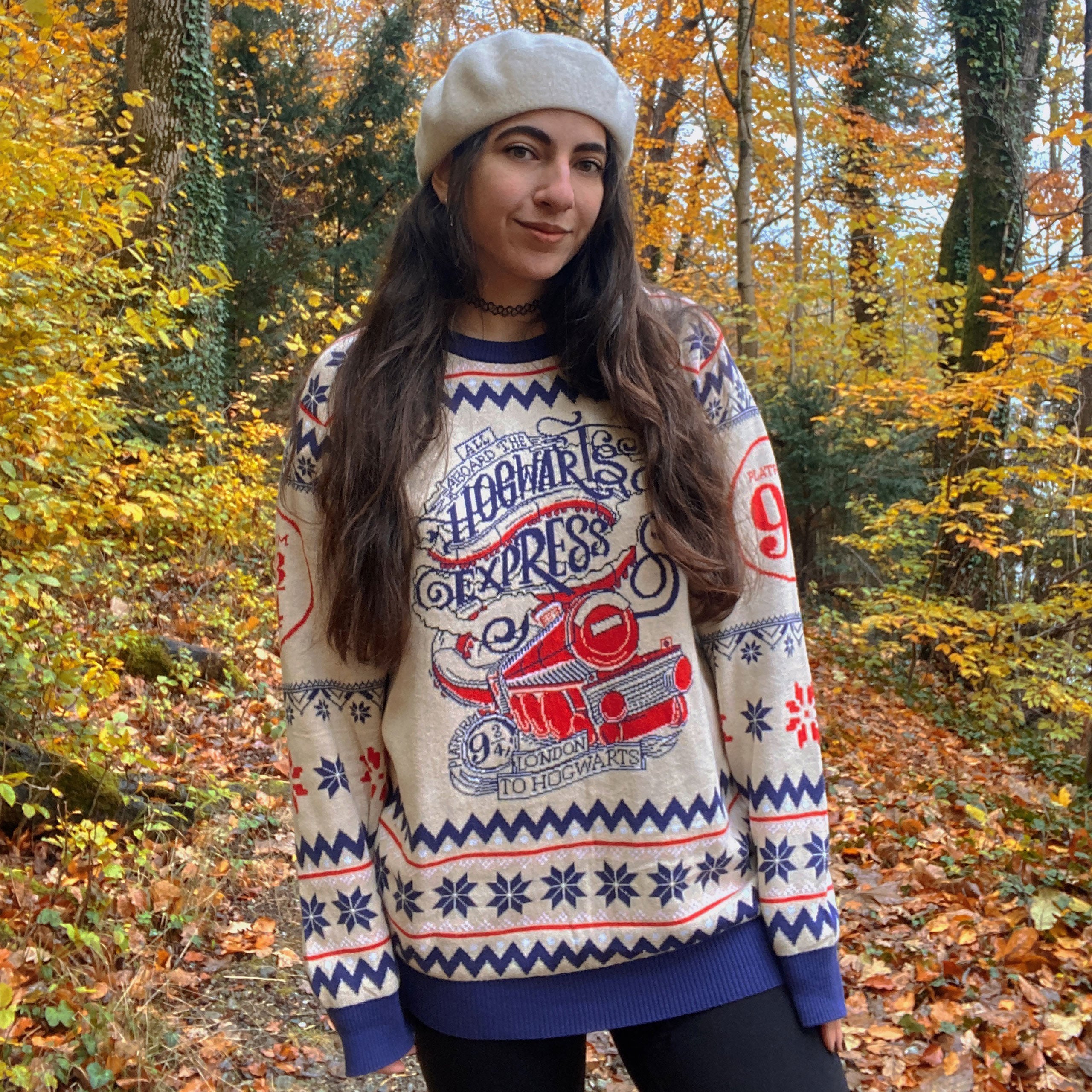 Produktbild Harry Potter - Hogwarts Express Strickpullover