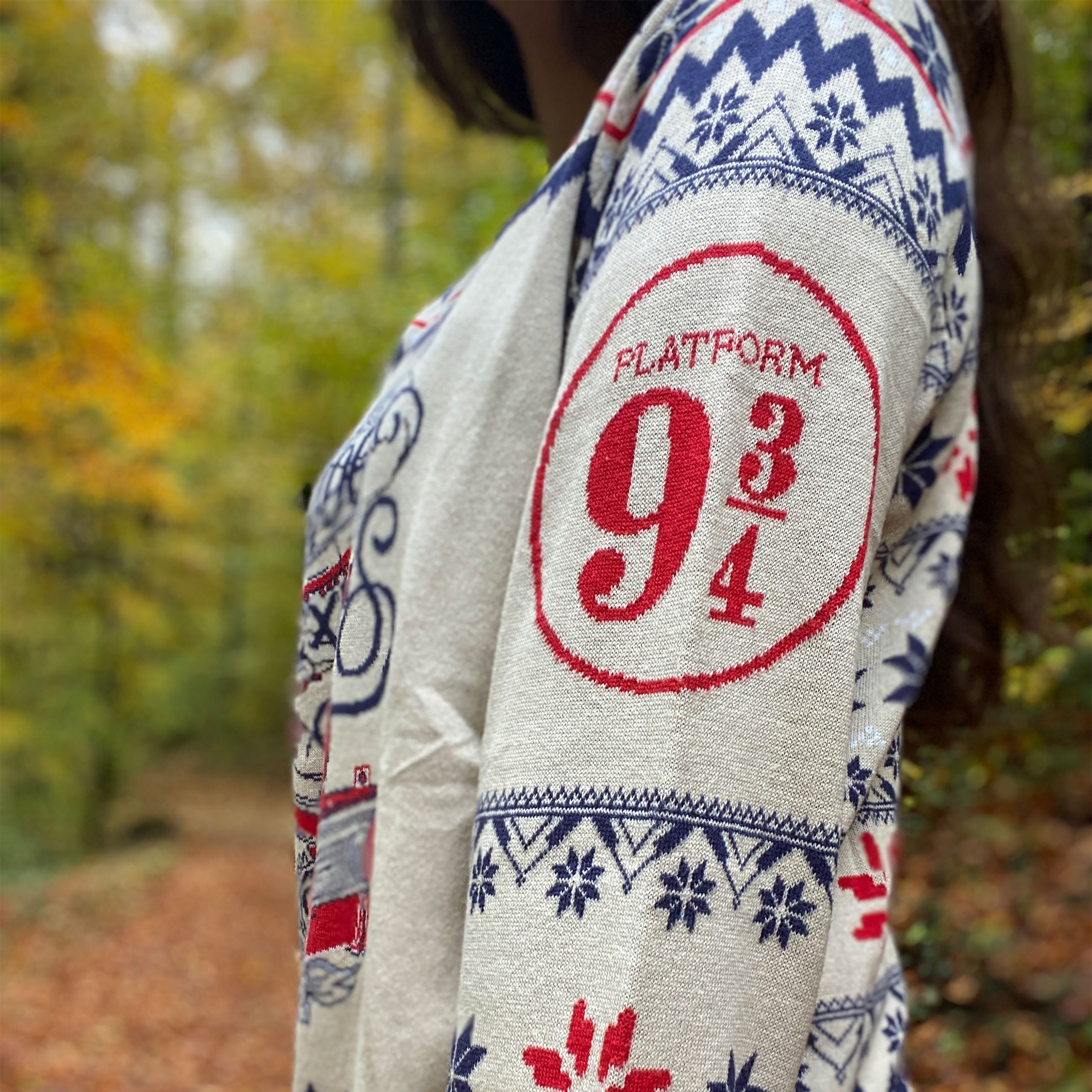 Produktbild Harry Potter - Hogwarts Express Strickpullover