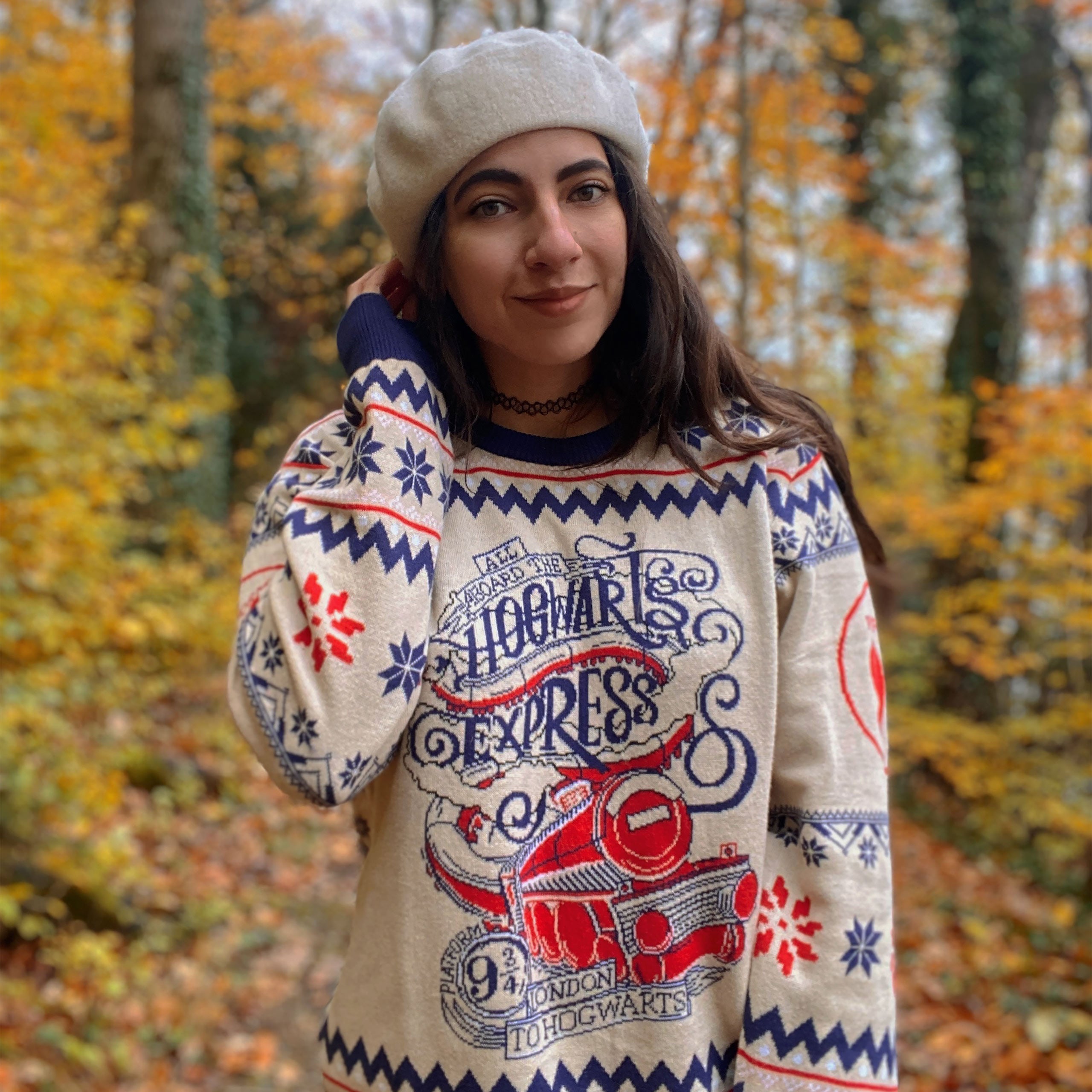 Produktbild Harry Potter - Hogwarts Express Strickpullover