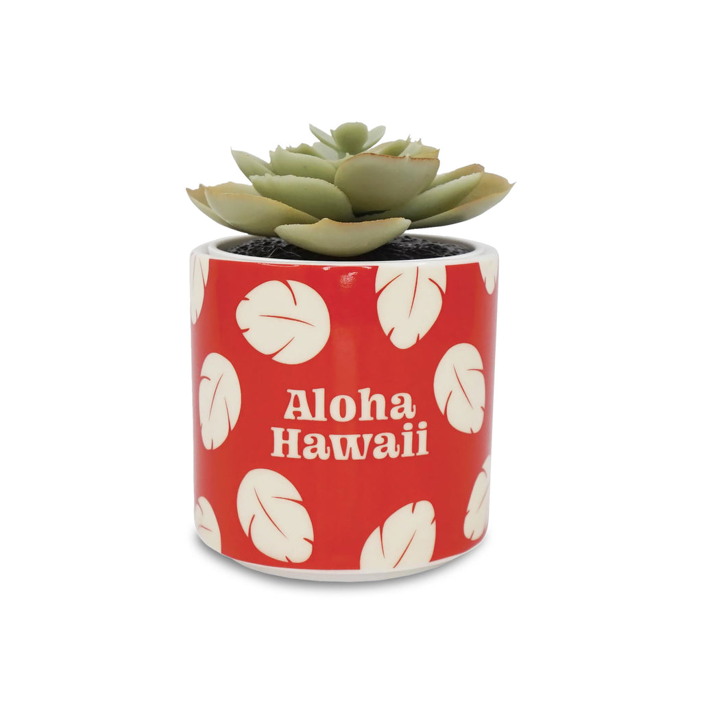 Produktbild Lilo & Stitch - Aloha Hawaii Mini Blumentopf