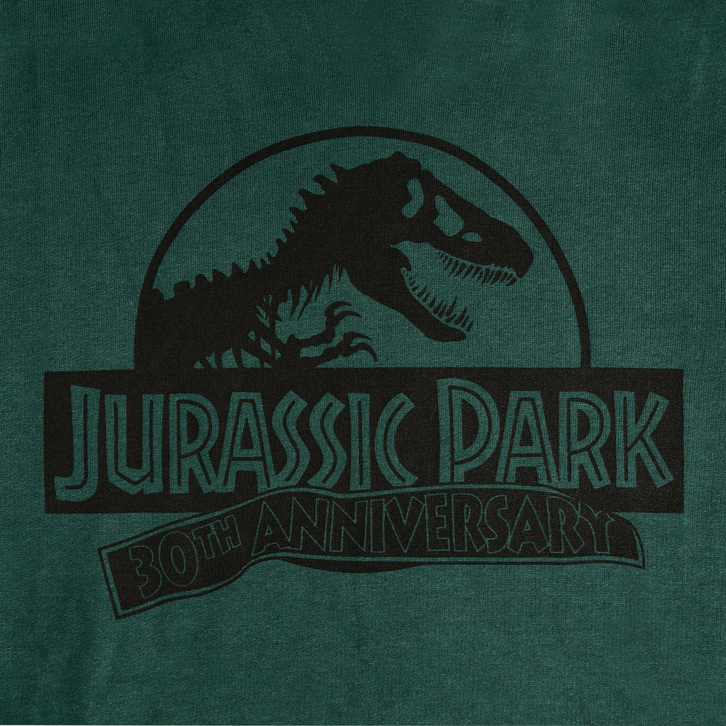 Produktbild Jurassic Park - Isla Nublar Hoodie grün
