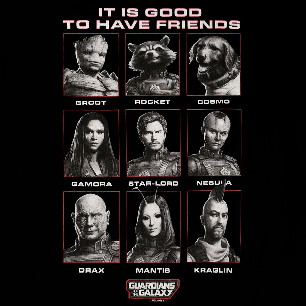 Product image Guardians of the Galaxy - Good Friends T-Shirt black