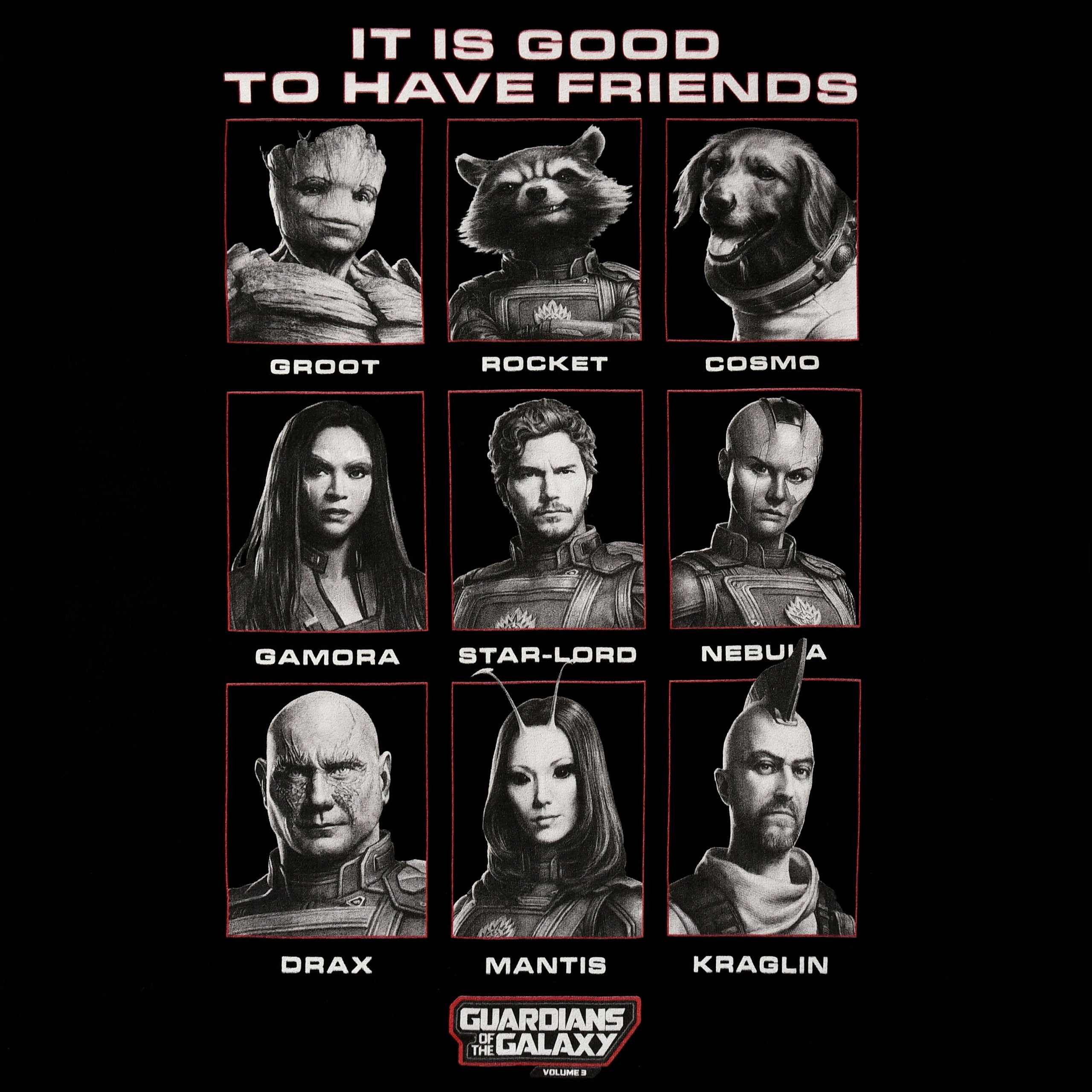 Produktbild Guardians of the Galaxy - Good Friends T-Shirt schwarz