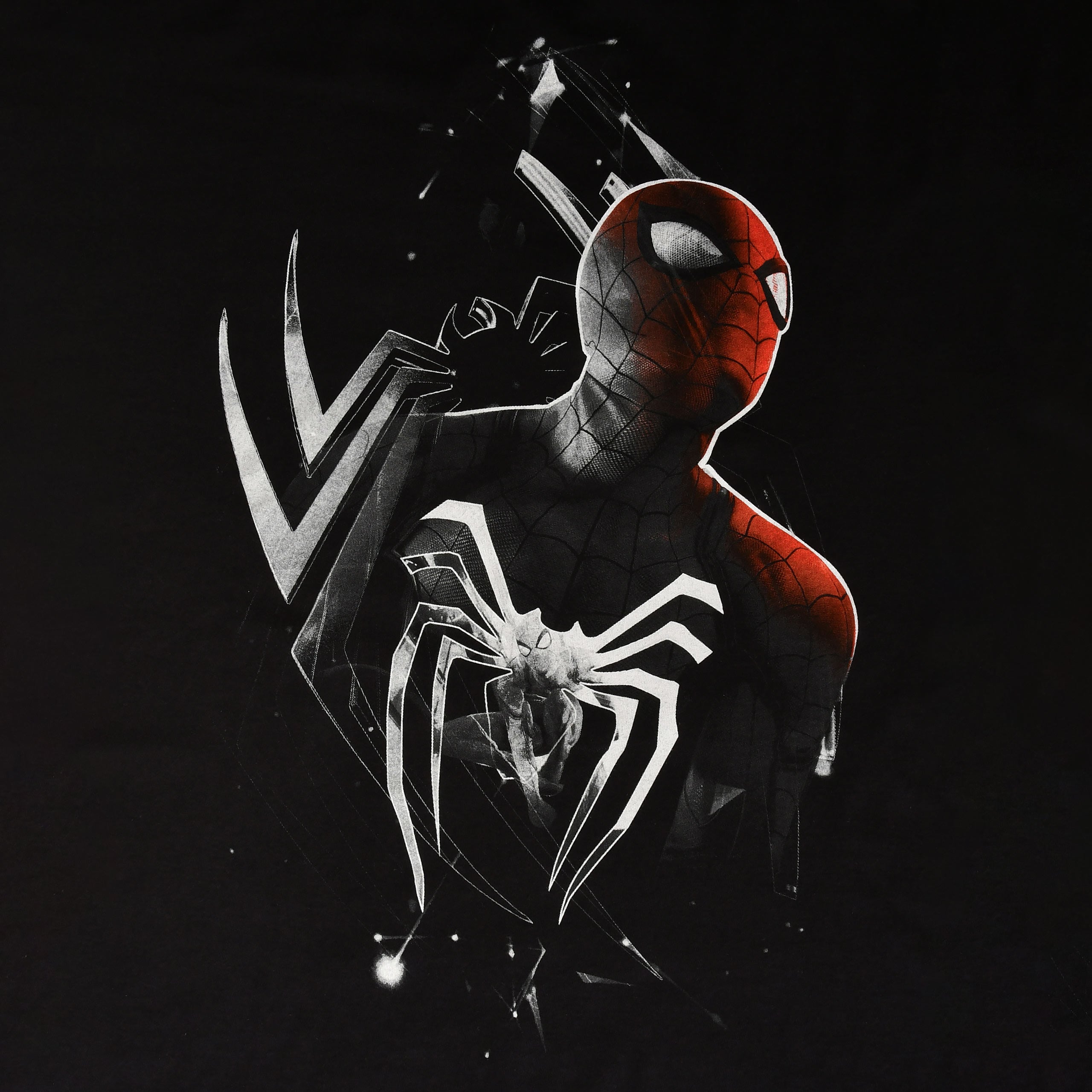 Produktbild Spider-Man - Dimension T-Shirt schwarz