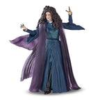 Product image Wanda Vision - Agatha Harkness Marvel Legends Series Action Figure