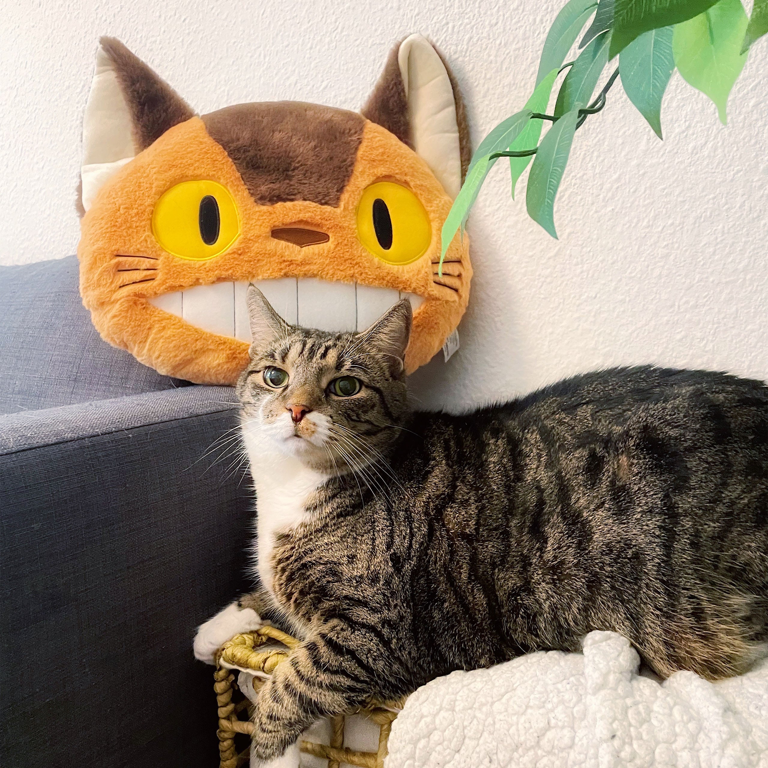 Product image Totoro - Catbus Nakayoshi Plush Pillow