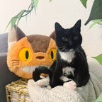 Produktbild Totoro - Katzenbus Nakayoshi Plüsch Kissen