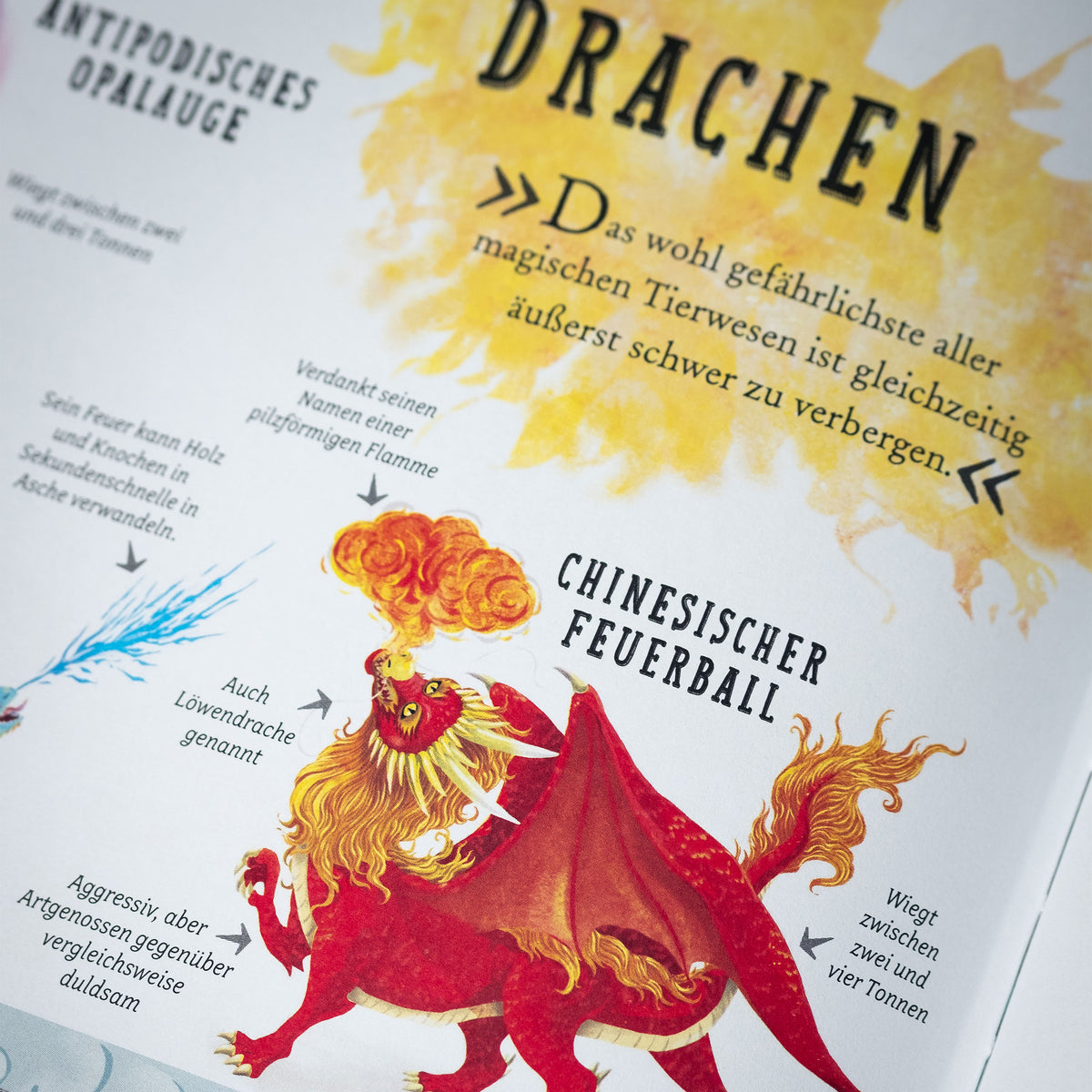Produktbild Die magische Welt von Harry Potter - Das offizielle Handbuch